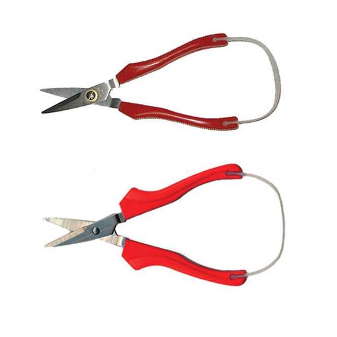 Huvudbild Stirex nagelsax, spetsig